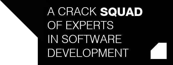 A crack **squad** of experts in software and developement