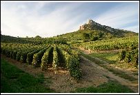 Développement de logiciels et applications sous WinDev/WebDev à Bourgogne