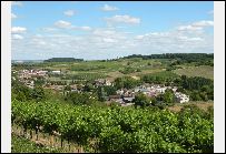 Développement de logiciels et applications sous WinDev/WebDev à Charente