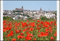 Développement de logiciels et applications sous WinDev/WebDev à Rodez